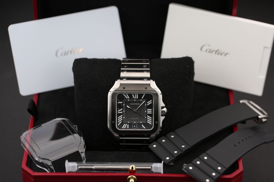Cartier Santos De Cartier WSSA0037 Image 7